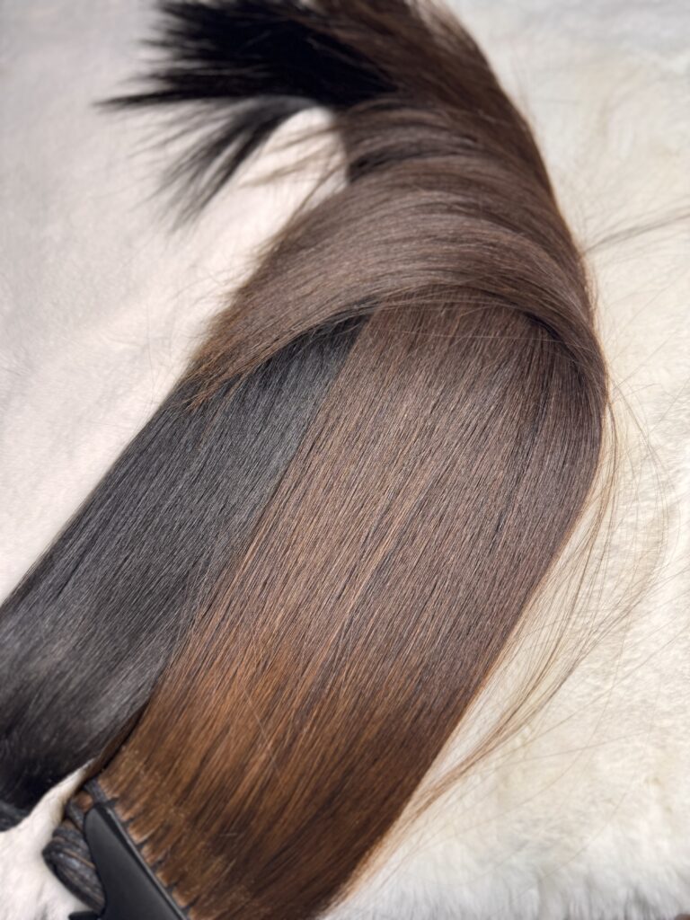 Extensioens hade bellecrin